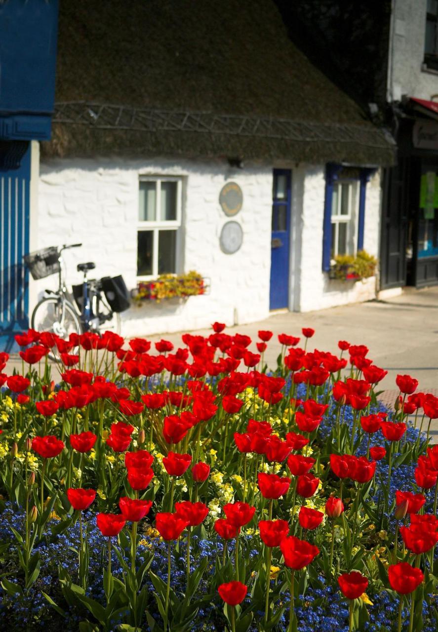 The Redbank Guesthouse Skerries Eksteriør billede